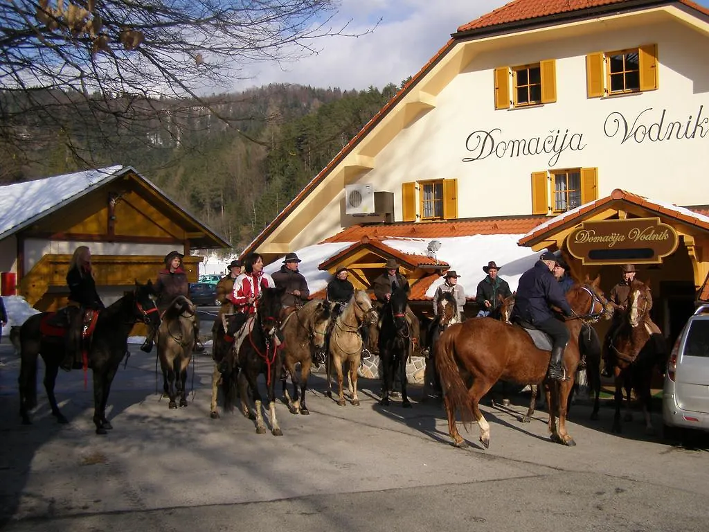 Domacija Vodnik & Apartments Cerklje na Gorenjskem 3*,